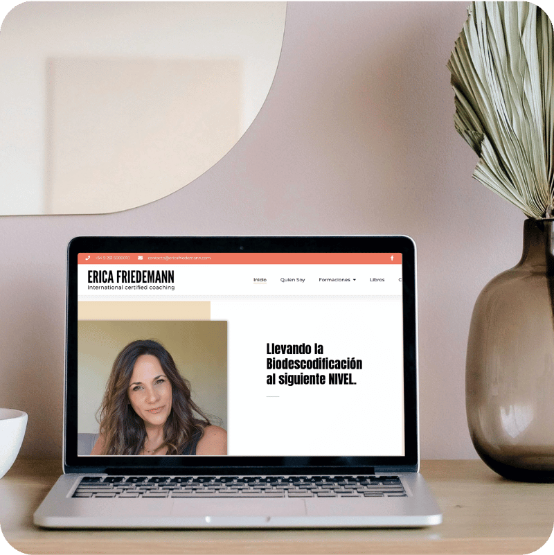 diseno web en mendoza - Laura Citón